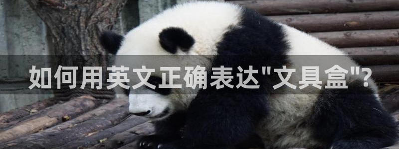 天顺娱乐主管着：如何用英文正确表达\