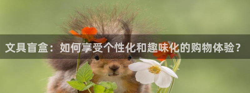 天顺娱乐开奖1720 com：文具盲盒：
