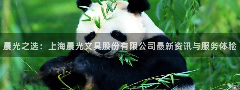 天顺娱乐20h判官333OO：晨光之选：