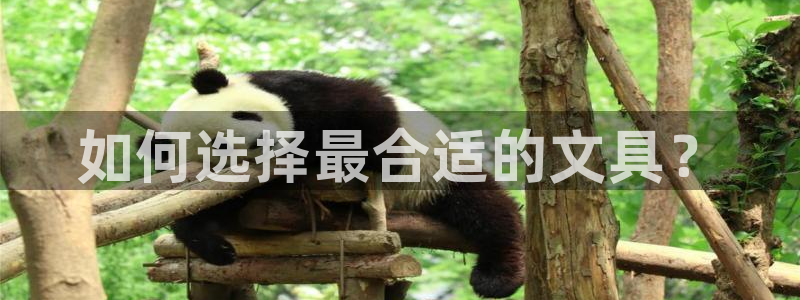 天顺娱乐辜74ooo5笔仁：如何选择最合