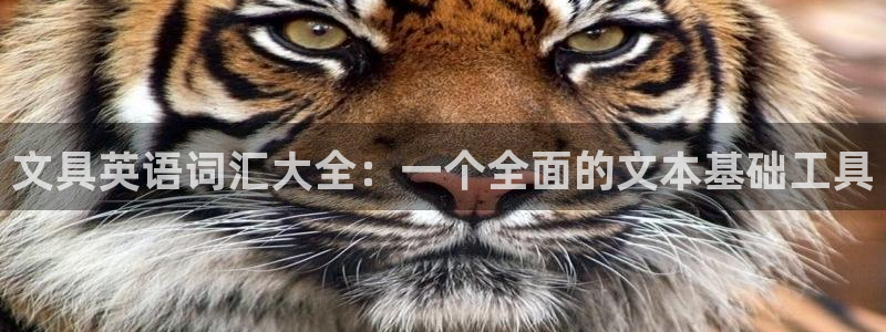 璧山区天顺娱乐休闲中心：文具英语词汇大全