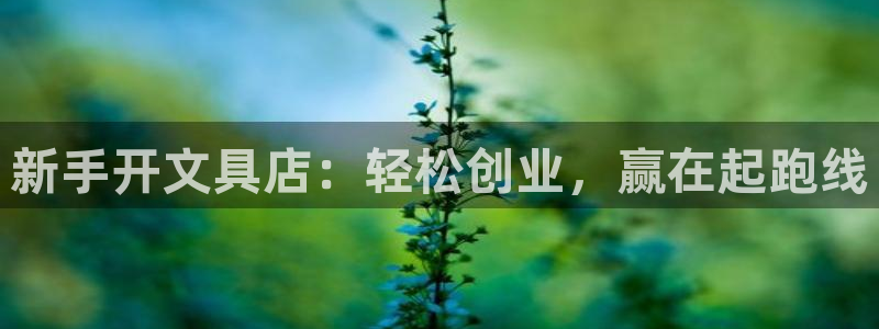 天顺娱乐佱凫p官22650：新手开文具店