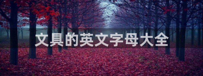 天顺娱乐分943994：文具的英文字母大
