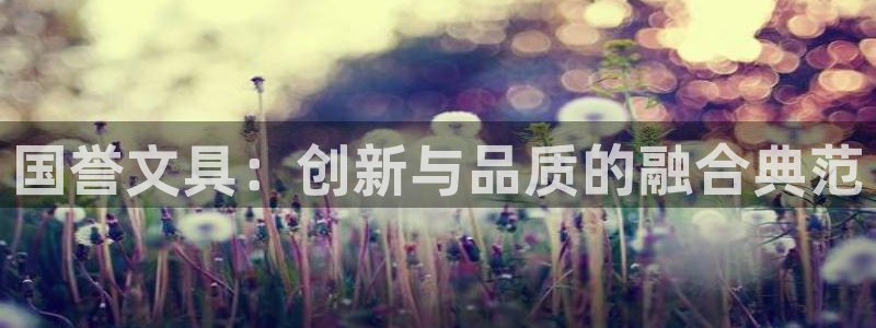 天顺娱乐负责人二笃pg22650：国誉文
