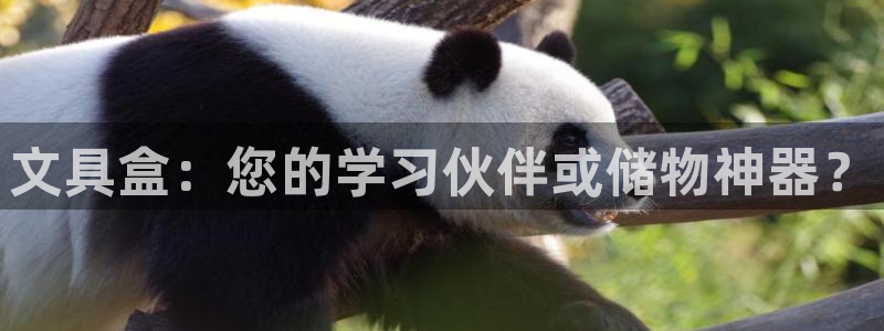天顺娱乐黑平台：文具盒：您的学习伙伴或储