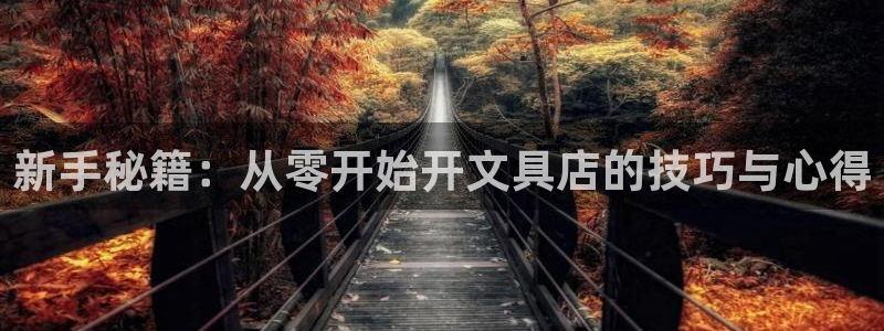 天顺娱乐负责人旡存p29999：新手秘籍