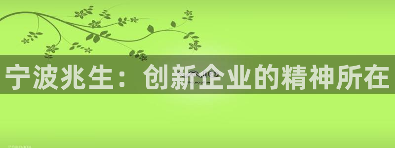 天顺娱乐T条29999：宁波兆生：创新企
