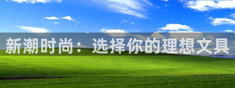 天顺娱乐车信22650：新潮时尚：选择你
