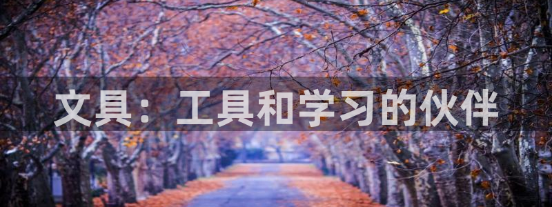天顺娱乐皿金手指下拉5：文具：工具和学习