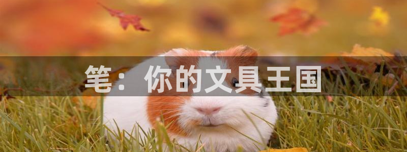 天顺娱乐蚁70 48扣：笔：你的文具王国