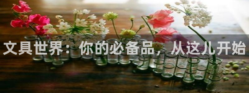 天顺娱乐靠谱吗：文具世界：你的必备品，从