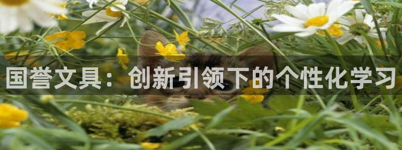 天顺娱乐最高待遇：国誉文具：创新引领下的