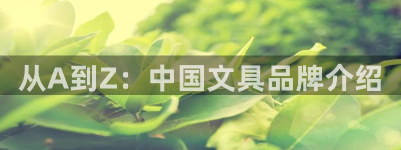 瑞丽市天顺娱乐会所法人：从A到Z：中国文