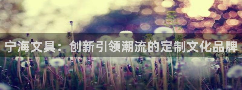 天顺娱乐沛乐p官29999：宁海文具：创