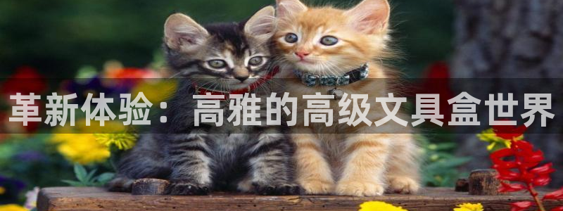 天顺娱乐员78778卧：革新体验：高雅的