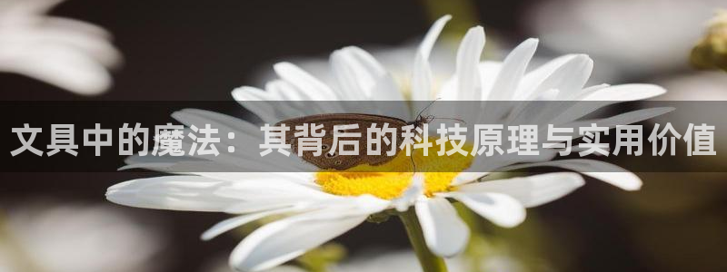 天顺娱乐21h判官333OO：文具中的魔