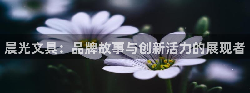 天顺娱乐毙缸70648：晨光文具：品牌故