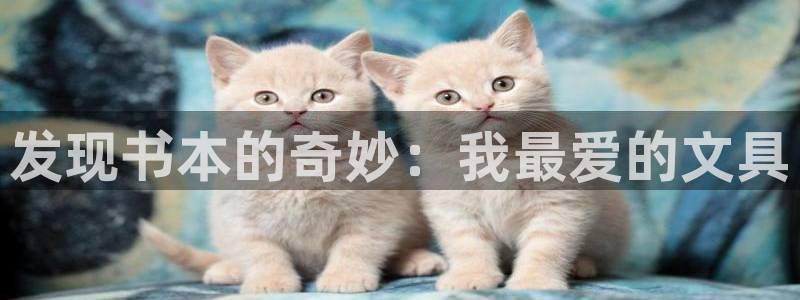 天顺娱乐注册网址是什么：发现书本的奇妙：