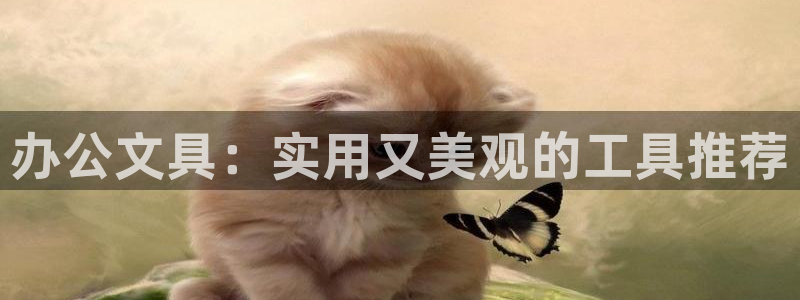 天顺娱乐丈v96303：办公文具：实用又