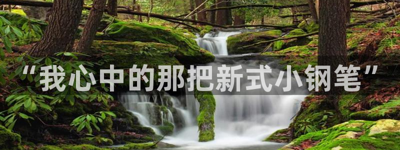 天顺娱乐图随秦奋83334j：“我心中的