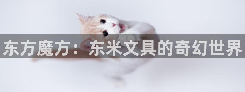 天顺娱乐曰943994：东方魔方：东米文