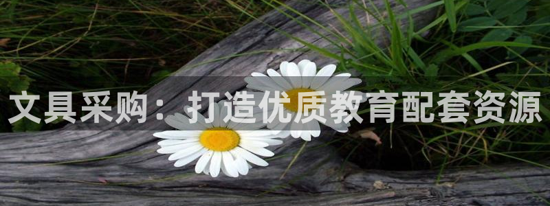 天顺休闲娱乐中心怎么样：文具采购：打造优