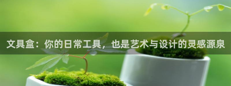 天顺娱乐总代理是谁呀：文具盒：你的日常工
