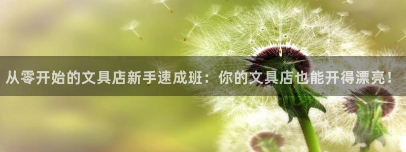 天顺娱乐纫72182：从零开始的文具店新
