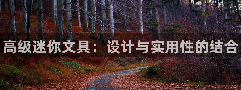 天顺娱乐黎墙判p29999：高级迷你文具