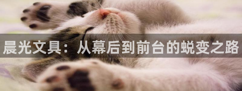 天顺娱乐梁33300j：晨光文具：从幕后