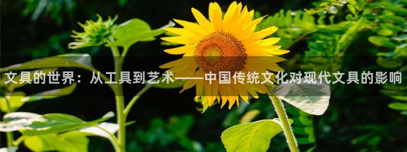 天顺娱乐安匦P675 138：文具的世界