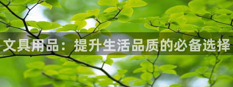 天顺娱乐够99840关：文具用品：提升生