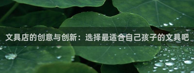 天顺娱乐会所临沧：文具店的创意与创新：选