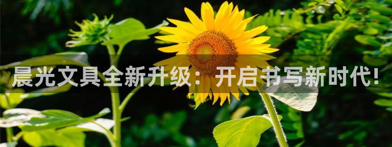 瑞丽市天顺娱乐会所法人：晨光文具全新升级