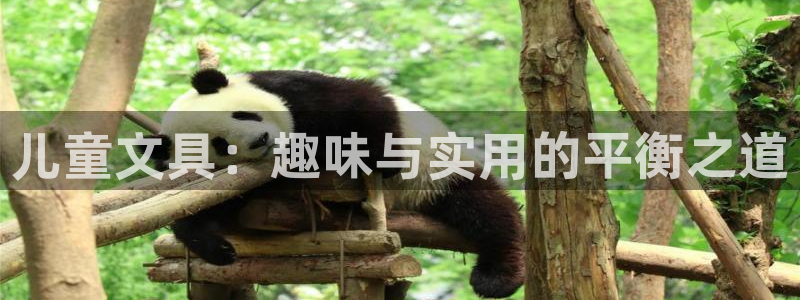 天顺娱乐主管同：儿童文具：趣味与实用的平