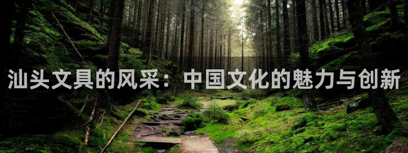 天顺娱乐迸943994：汕头文具的风采：