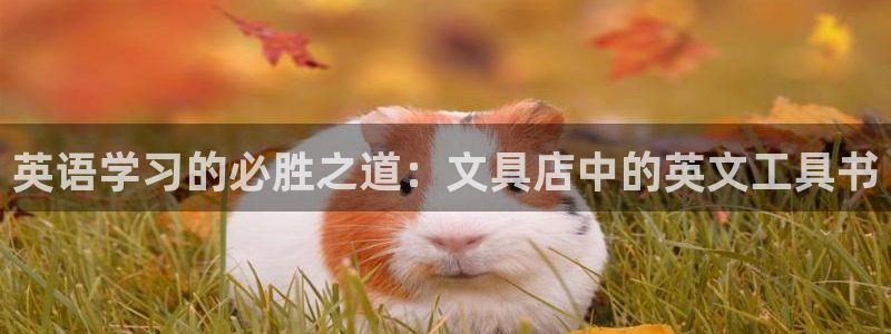 天顺娱乐腾讯分分彩：英语学习的必胜之道：